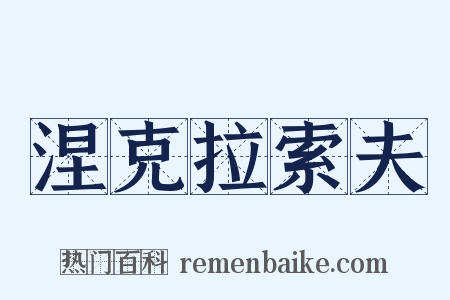 涅克拉索夫是什么意思的图片